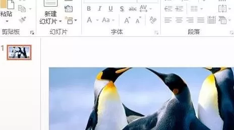 如何在ppt2016中设置文本背景填充效果?ppt2016设置文本背景填充效果的方法