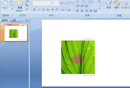 在ppt2007中给图片添加烧焦效果的具体方法