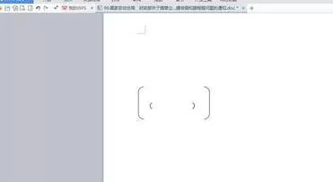wps文字中如何使用大括号小括号?使用大括号小括号教程