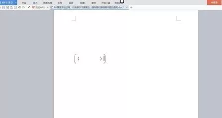 wps文字中如何使用大括号小括号?使用大括号小括号教程
