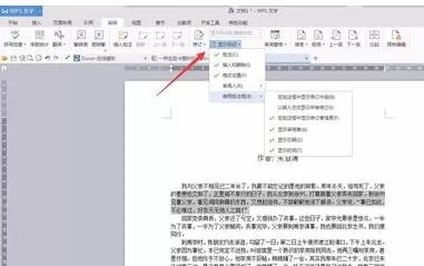 WPS文字如何修改记录标注?WPS文字修改记录标注教程