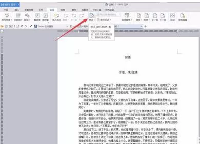 WPS文字如何修改记录标注?WPS文字修改记录标注教程