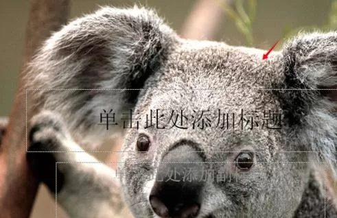 如何设置ppt的背景和纹理?设置背景和纹理的方法