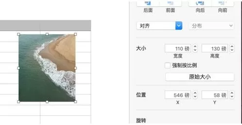 excel表格图片如何适应表格大小?图片适应表格大小的方法