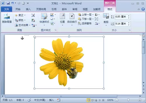 在Word 2010去除图片背景的具体操作