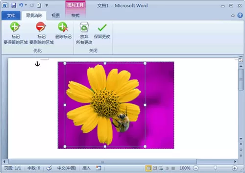 在Word 2010去除图片背景的具体操作