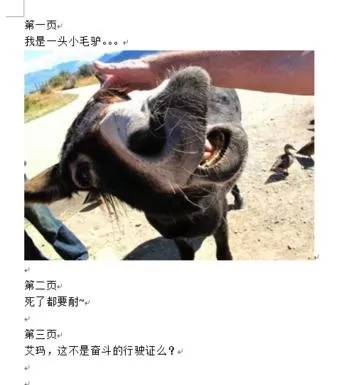 PowerPoint和word可以相互转换吗?