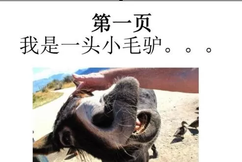PowerPoint和word可以相互转换吗?