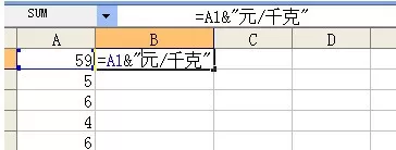 怎么在Excel表格中添加前缀或后缀?在Excel表格中添加前缀或后缀的教程
