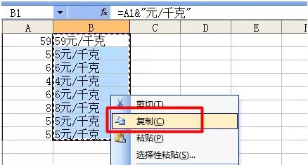 怎么在Excel表格中添加前缀或后缀?在Excel表格中添加前缀或后缀的教程