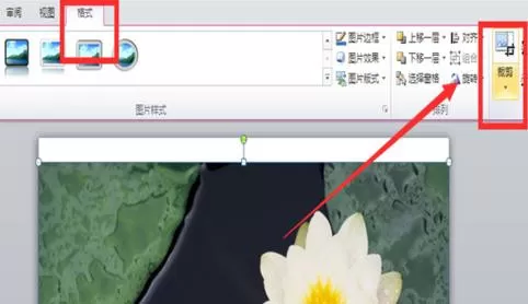 如何在ppt2010中将图片裁剪成形状?在ppt2010中图片裁剪成形状的方法