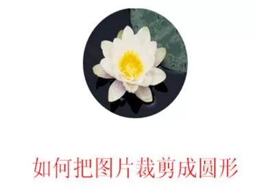 如何在ppt2010中将图片裁剪成形状?在ppt2010中图片裁剪成形状的方法