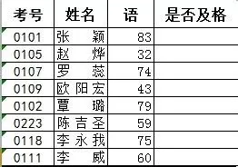 在excel中使用函数进行条件判断的具体操作