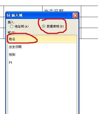 如何将excel数据批量导入到word表格中?