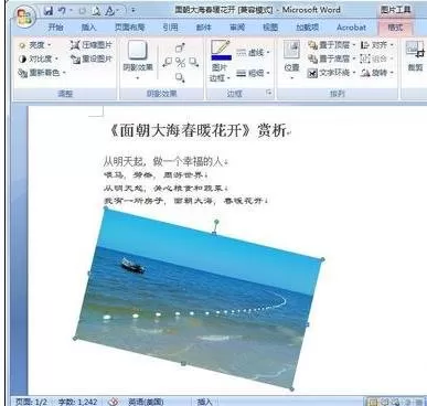 如何在word2016中拖动图片?在word2016中拖动图片的教程