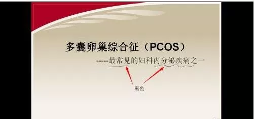 如何在ppt2010中给幻灯片添加标注?ppt2010给幻灯片添加标注的方法