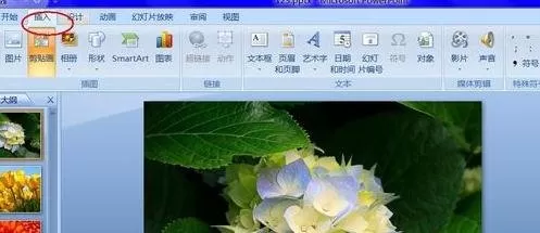 如何给PPT2007插入声音?给PPT2007插入声音的方法