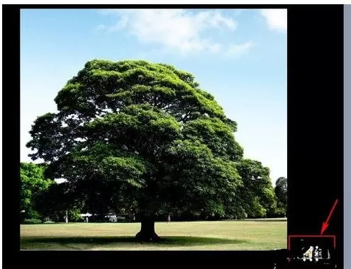 ppt2007幻灯片背景音乐如何无限循环播放?
