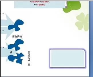 ppt2007怎样添加按钮?ppt2007添加按钮教程