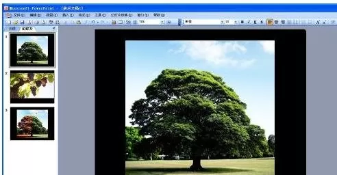 ppt2007如何设置音乐一直播放？设置音乐一直播放教程