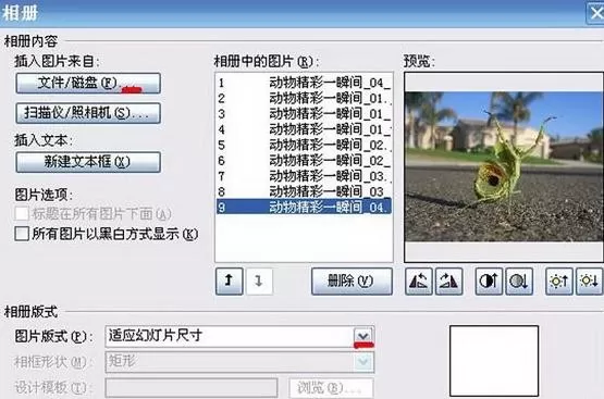 怎样使用PowerPoint制作电子相册?