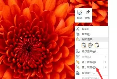 在ppt2013中编辑图片在文字下方的具体操作