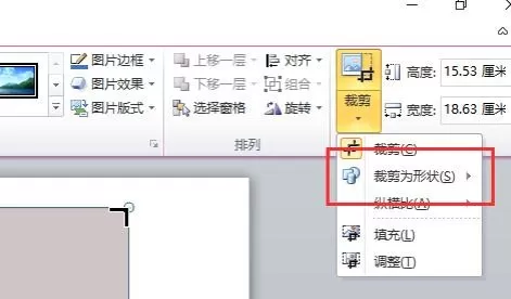怎么在ppt2013中插入自定义图片样式?ppt2013插入自定义图片样式的步骤