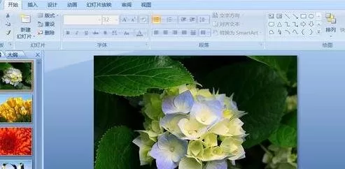 ppt2007如何添加声音?ppt2007添加声音的方法