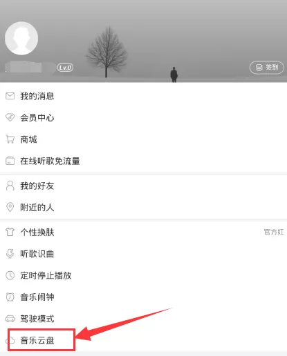 网易云音乐如何导入歌曲到手机?