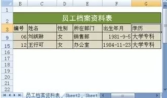 excel2007如何进行多条件筛选?