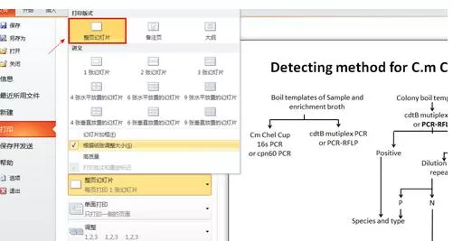怎么使ppt2013打印整张纸？ppt2013打印整张纸的具体方法
