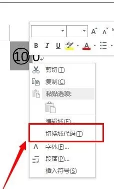 怎么在word2013中输入带圈100?word2013输入带圈100的步骤
