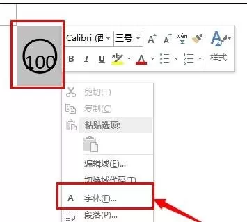 怎么在word2013中输入带圈100?word2013输入带圈100的步骤