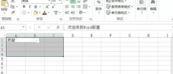 Excel2013如何只打印选中区域?