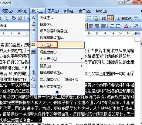 如何在Word2003中将文档进行分栏查看?