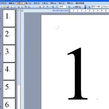 如何在word2003中编制页码?在word2003中编制页码的具体方法