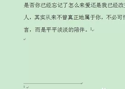 在word2003中为文字内容加脚注的图文教程