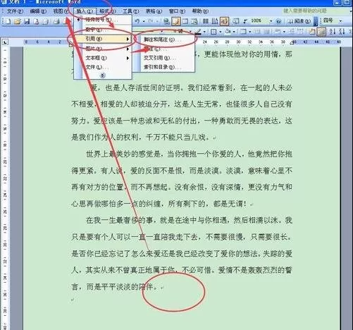 在word2003中为文字内容加脚注的图文教程
