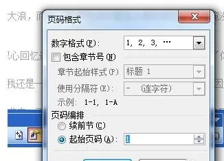 如何在word2003中对页码和页面进行排版?