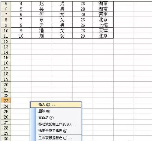 如何在excel2003中新建标签页?excel2003新建标签页的步骤