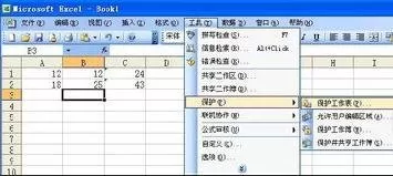 如何在excel2003中锁定单元格?excel2003锁定单元格的教程