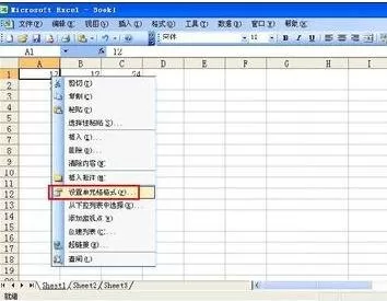 如何在excel2003中锁定单元格？excel2003锁定单元格的教程