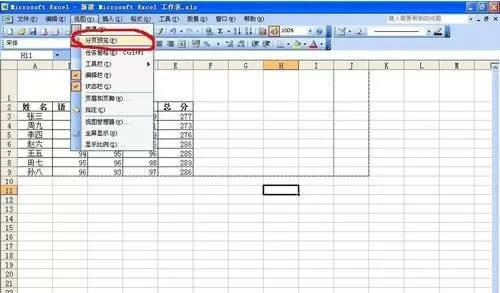 在excel2003打印时删除空白页的具体方法