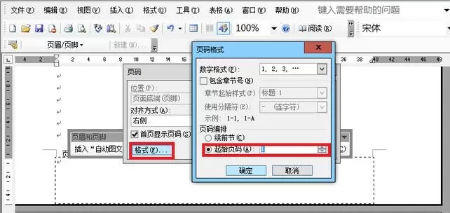 怎么设置word2003页码从任意页开始?