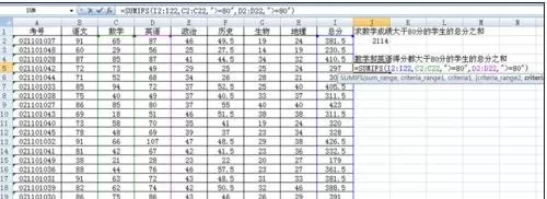 如何使用excel2003条件求和函数?excel2003条件求和函数的使用方法