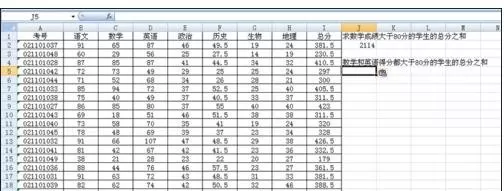 如何使用excel2003条件求和函数？excel2003条件求和函数的使用方法