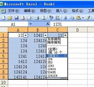 如何使用excel2003自动筛选功能?excel2003自动筛选功能的使用方法