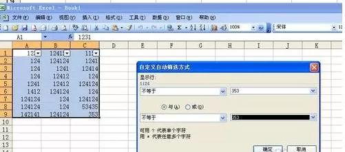 如何使用excel2003自动筛选功能?excel2003自动筛选功能的使用方法