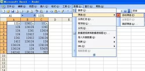 如何使用excel2003自动筛选功能？excel2003自动筛选功能的使用方法