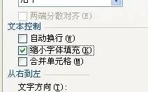 Excel2013打印出####如何解决?